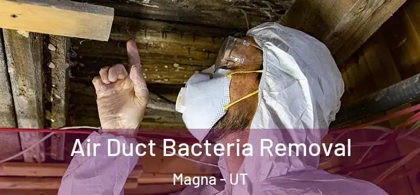  Air Duct Bacteria Removal Magna - UT