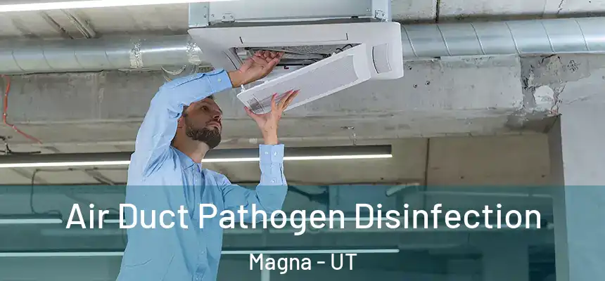 Air Duct Pathogen Disinfection Magna - UT