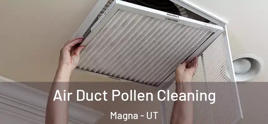  Air Duct Pollen Cleaning Magna - UT