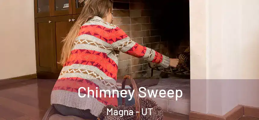 Chimney Sweep Magna - UT