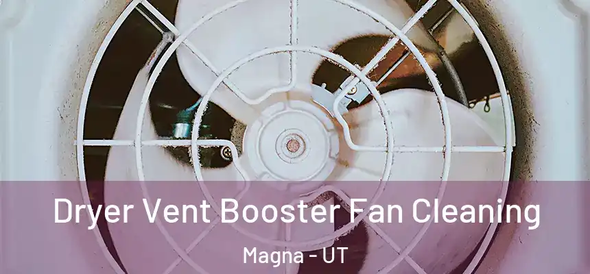 Dryer Vent Booster Fan Cleaning Magna - UT