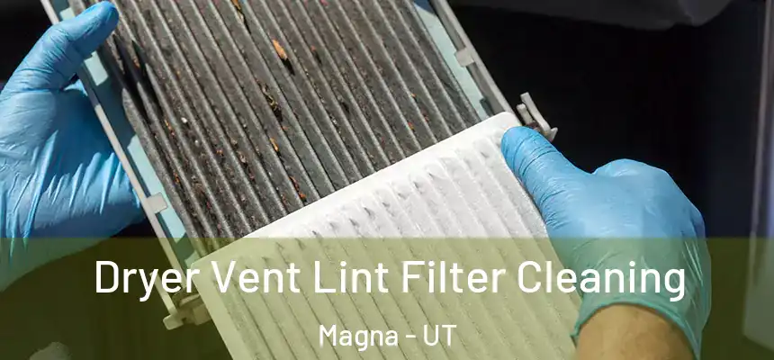 Dryer Vent Lint Filter Cleaning Magna - UT