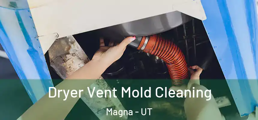  Dryer Vent Mold Cleaning Magna - UT
