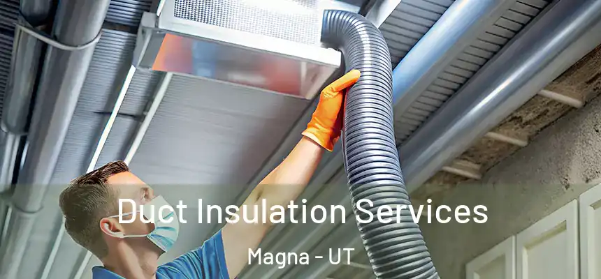 Duct Insulation Services Magna - UT