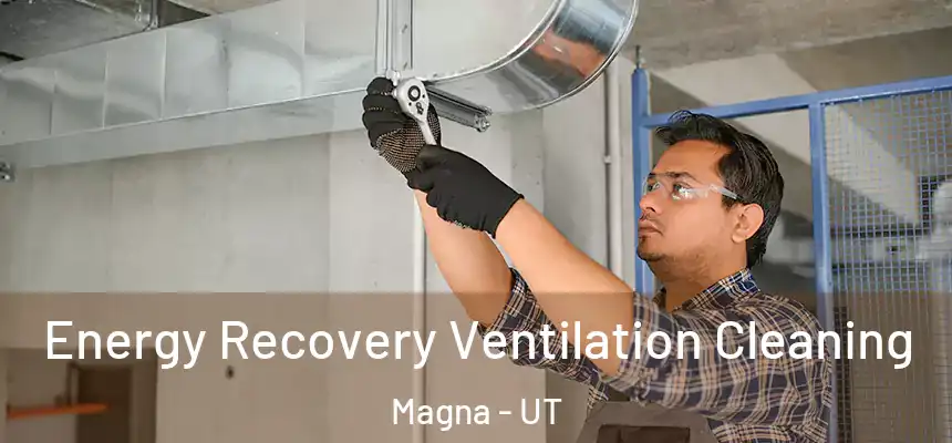 Energy Recovery Ventilation Cleaning Magna - UT
