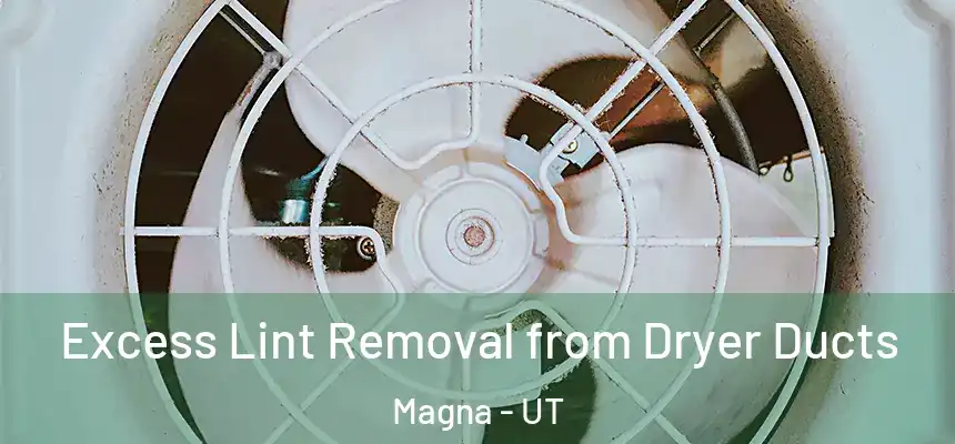  Excess Lint Removal from Dryer Ducts Magna - UT