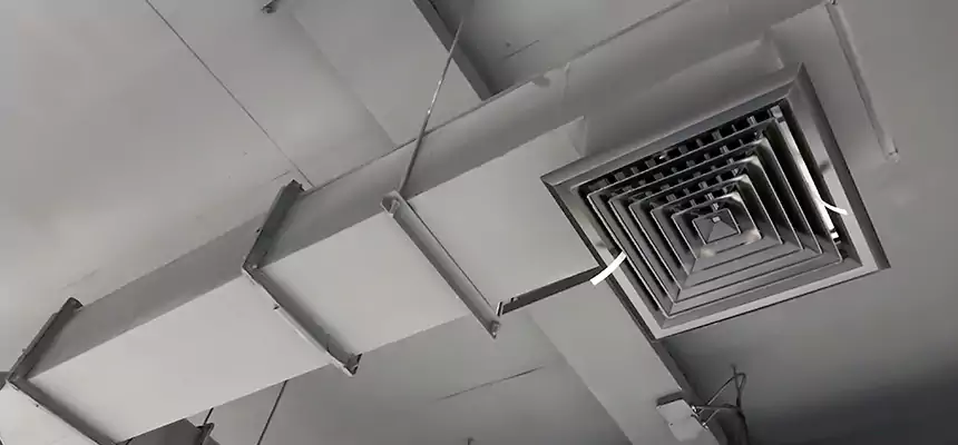 Our Rodent Droppings In Vents Services in Magna, UT