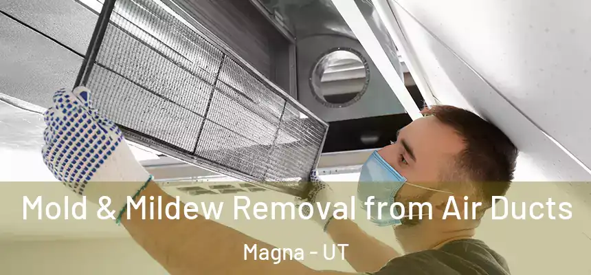 Mold & Mildew Removal from Air Ducts Magna - UT