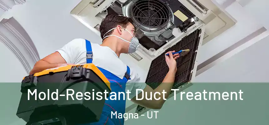 Mold-Resistant Duct Treatment Magna - UT