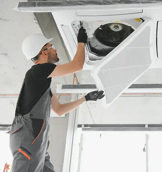 About Air Duct Rodent Removal in Magna, UT