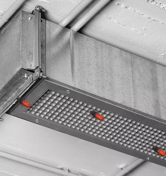 Affordable Insect Removal from Air Ducts in Magna, UT