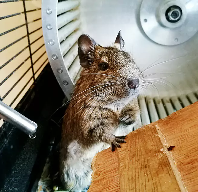 Why Homeowners & Businesses Trust Us Magna, UT