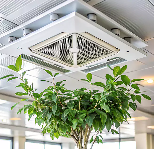 Why Homeowners & Businesses Trust Us in Magna, UT