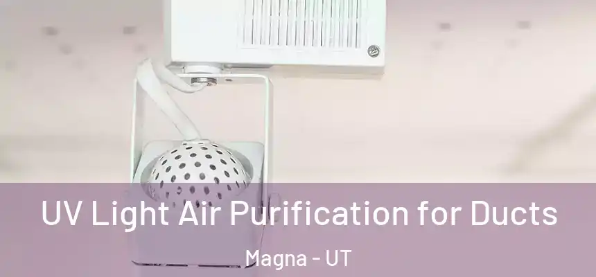 UV Light Air Purification for Ducts Magna - UT